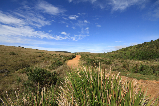 Horton Plains