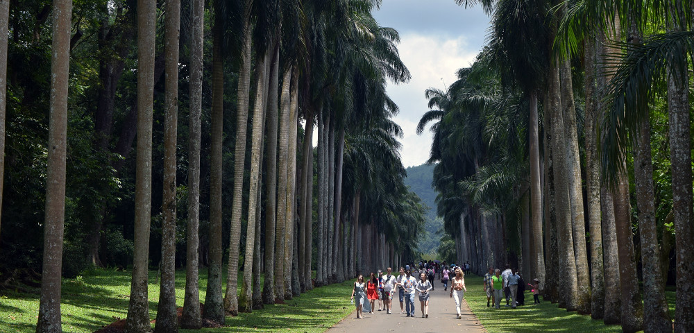 Peradeniya Botanical Gardens